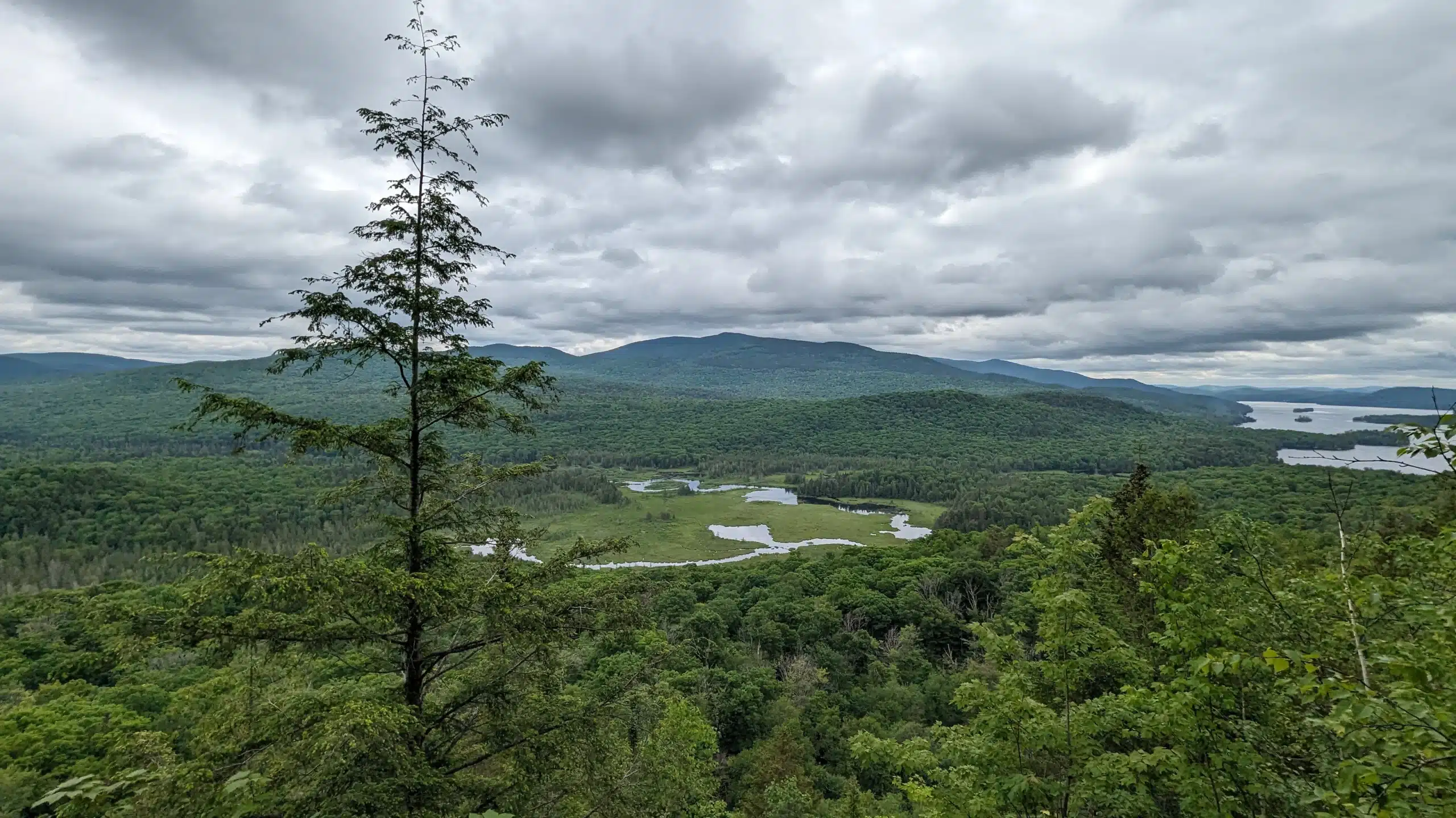 Caltha_ecologie appliquee_accueil_Lac tremblant_projets