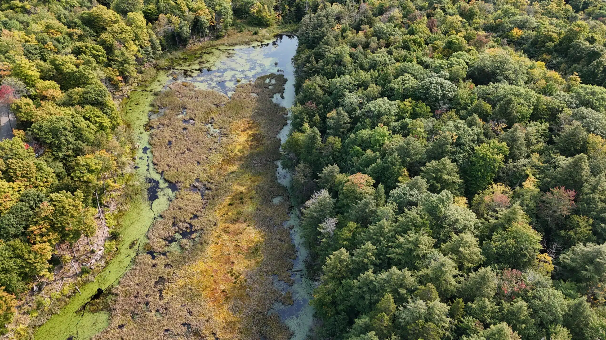 Caltha_ecologie appliquee_accueil_Lakefield-Projet